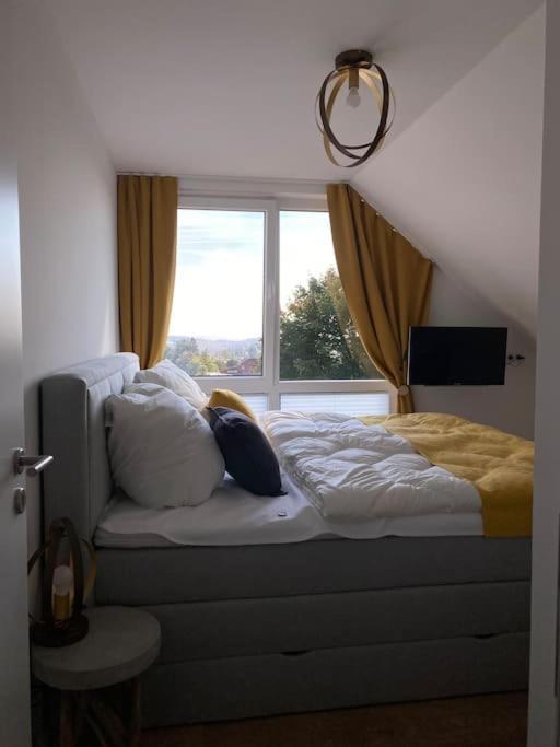 Ferienhaus Mountain View Six50 Mit Sauna Und Kamin In St. Andreasberg Sankt Andreasberg Kültér fotó