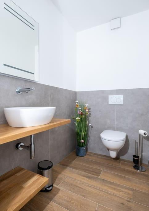 Ferienhaus Mountain View Six50 Mit Sauna Und Kamin In St. Andreasberg Sankt Andreasberg Kültér fotó
